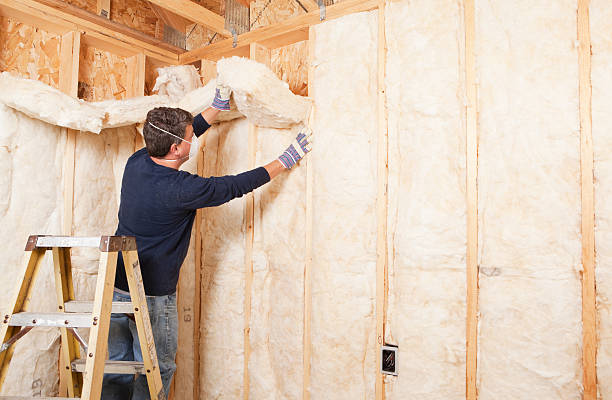 Best Attic Insulation Installation in Biola, CA